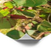 Hütten aus mehrfarbigem Holz | Long Bay Beach Poster (Ecke)