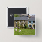 Hütten, Beddgelert, Gwynedd, Wales Button (Vorne & Hinten)