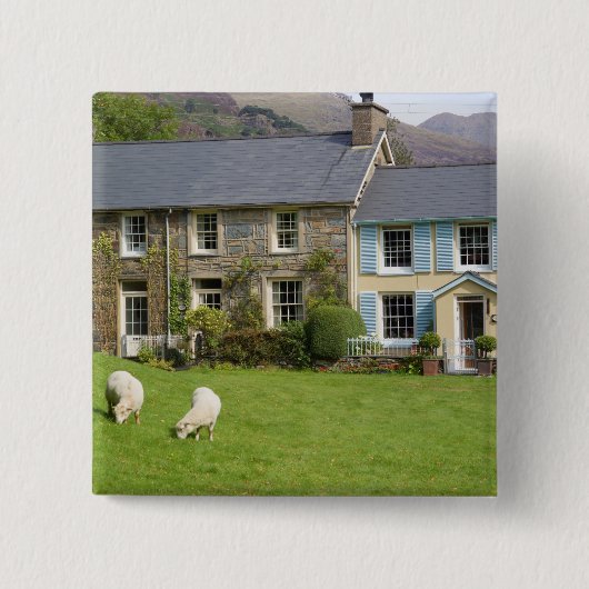 Hütten, Beddgelert, Gwynedd, Wales Button (Vorderseite)