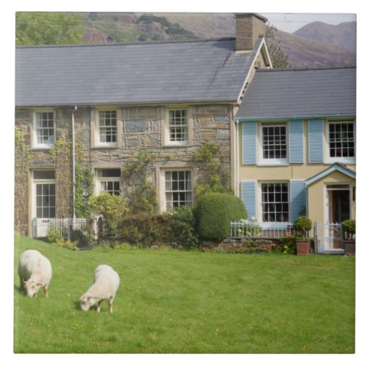 Hütten, Beddgelert, Gwynedd, Wales Fliese (Vorderseite)