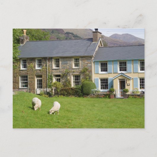 Hütten, Beddgelert, Gwynedd, Wales Postkarte (Vorderseite)
