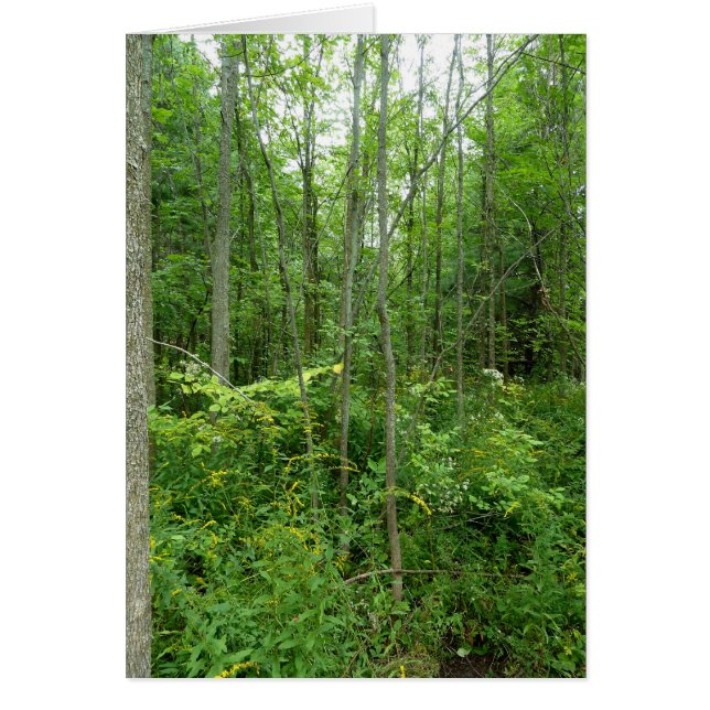 "Hütten-Land-" Foto (Vorne)