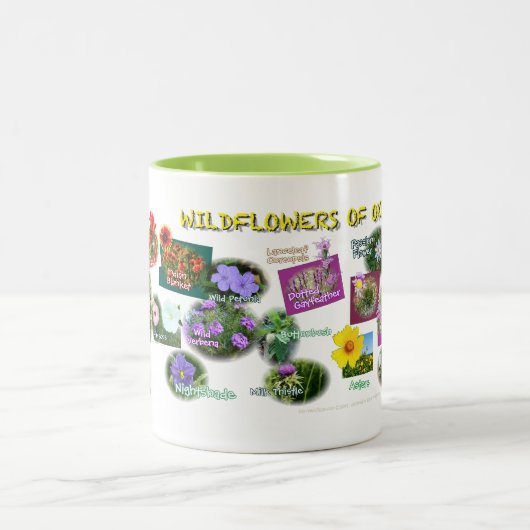 hv19 Oklahoma Wildblumen-Tasse Zweifarbige Tasse (Mittel)