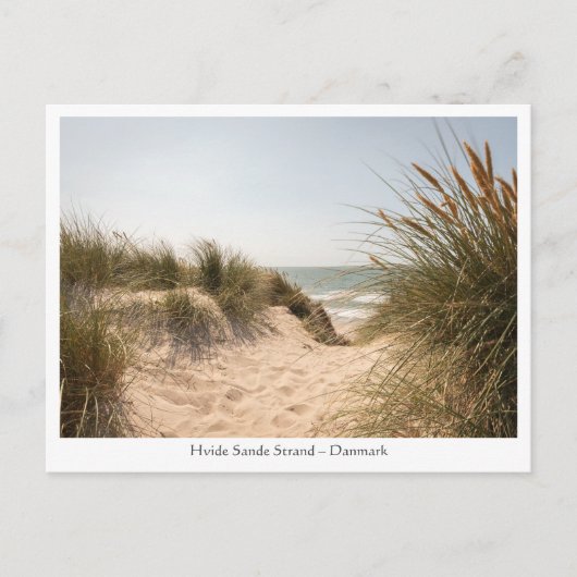 Hvide Sande Dänemark Postkarte (Vorderseite)