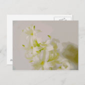 Hy Leinwand Postkarte (Vorne/Hinten)