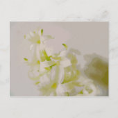 Hy Leinwand Postkarte (Vorderseite)