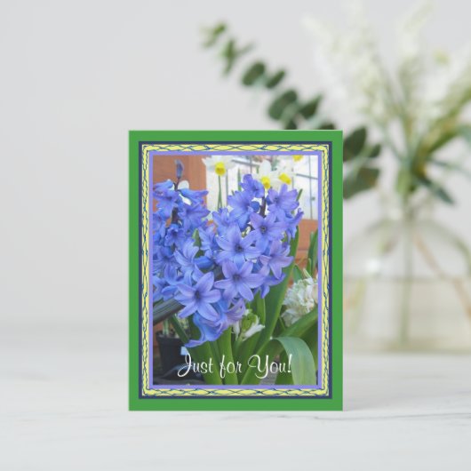 Hyacinth Blau Postkarte (Stehend Vorderseite)
