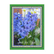 Hyacinth Blau