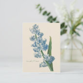 Hyacinth Blue Flower Postkarte (Stehend Vorderseite)