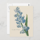 Hyacinth Blue Flower Postkarte (Vorne/Hinten)