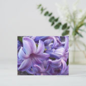 Hyacinth Blume Postkarte (Stehend Vorderseite)