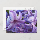 Hyacinth Blume Postkarte (Vorne/Hinten)