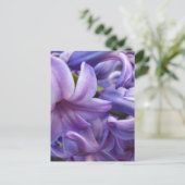 Hyacinth Blume Postkarte (Stehend Vorderseite)