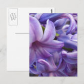 Hyacinth Blume Postkarte (Vorne/Hinten)