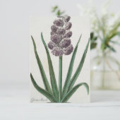 Hyacinth Blume (von Johann Michael Seligmann) Karte (Stehend Vorderseite)