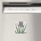Hyacinth Blume (von Johann Michael Seligmann) Magnet (In Situ (Geschirrspüler))