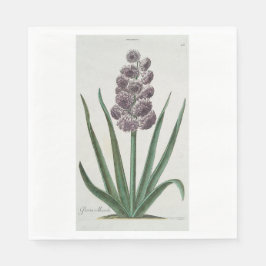 Hyacinth Blume (von Johann Michael Seligmann) Serviette