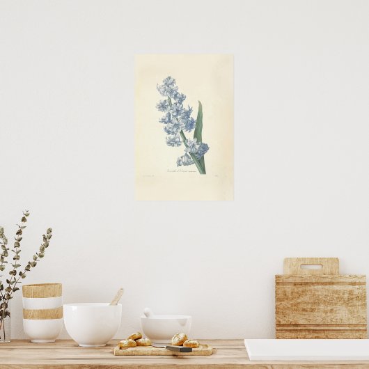 Hyacinth Canvas Print Poster (Küche)