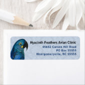 Hyacinth Macaw Avian Business Blue Rücksendeadress (Insitu)