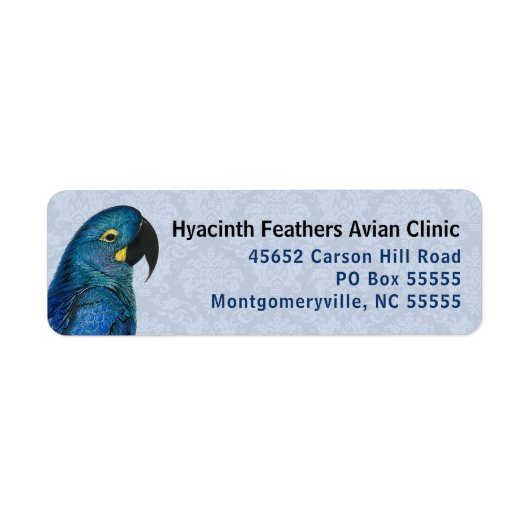 Hyacinth Macaw Avian Business Blue Rücksendeadress (Vorne)