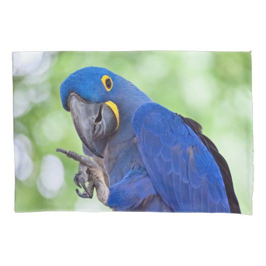 Hyacinth Macaw Bird Kissenbezug (Vorderseite)
