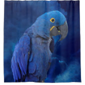 Hyacinth Macaw Duschvorhang (Vorderseite)