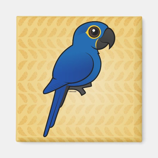 Hyacinth Macaw Magnet (Vorne)
