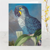 Hyacinth Macaw Parrot Bird Happy Birthday Big Card Karte (Gelbe Blume)
