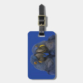 Hyacinth Macaw Parrot Bird Rare Blue Gepäckanhänger (Vorderseite vertikal)