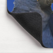Hyacinth Macaw Parrot Bird Rare Blue Mousepad (Ecke)