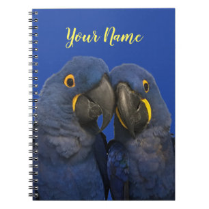 Hyacinth Macaw Parrot Bird Rare Blue Notizblock