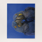 Hyacinth Macaw Parrot Bird Rare Blue Puzzle (Vertikal)
