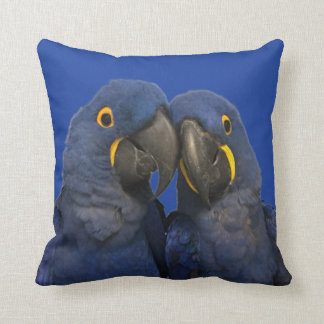 Hyacinth Macaw Parrot Bird Selten Kissen