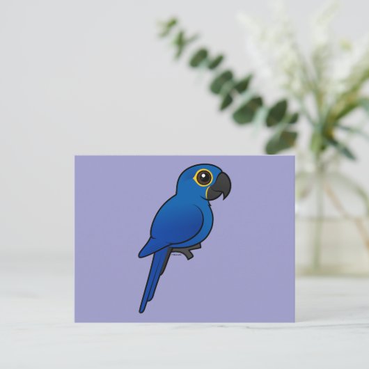 Hyacinth Macaw Postkarte (Stehend Vorderseite)