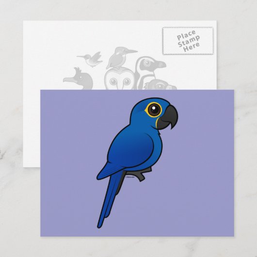 Hyacinth Macaw Postkarte (Vorne/Hinten)