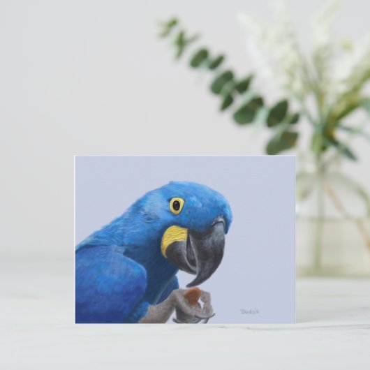Hyacinth Macaw Postkarte (Stehend Vorderseite)