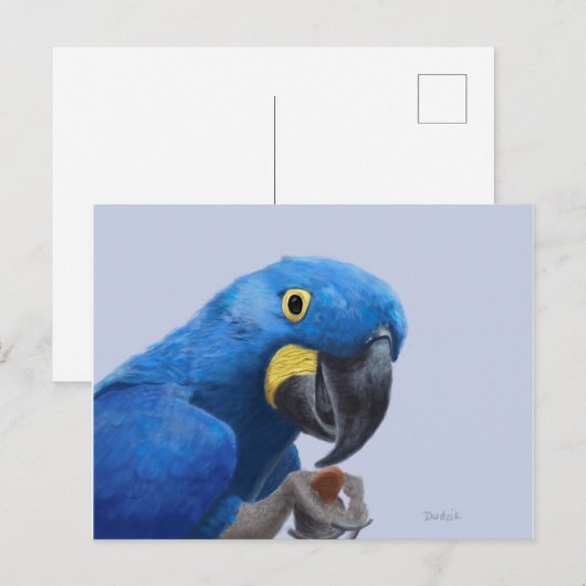 Hyacinth Macaw Postkarte (Vorne/Hinten)
