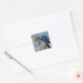 Hyacinth Macaw Stickers (Umschlag)