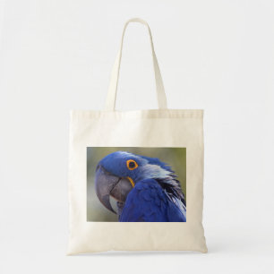 Hyacinth Macaw Tragetasche