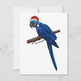 Hyacinth macaw - Urlaubskarte Feiertagskarte