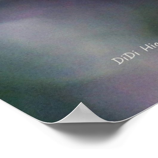 Hyacinth Macaws Poster (Ecke)