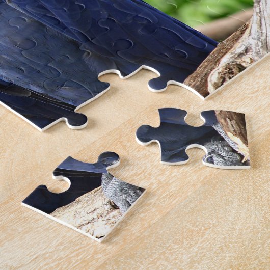 Hyacinth Macaws Puzzle (Seite)