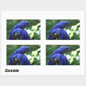 Hyacinth Macaws Rechteckiger Aufkleber (Blatt)