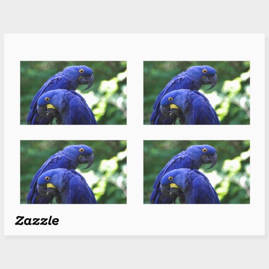 Hyacinth Macaws Rechteckiger Aufkleber (Blatt)