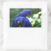 Hyacinth Macaws Rechteckiger Aufkleber (Tasche)