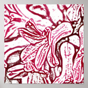 Hyacinth Pink bearbeitet Poster