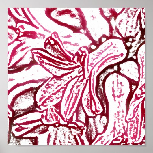 Hyacinth Pink bearbeitet Poster (Vorne)