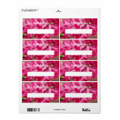 Hyacinth Pink Book Label (Vorne)