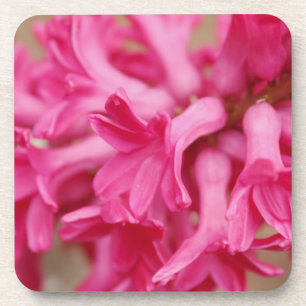 Hyacinth Pink Getränkeuntersetzer
