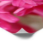 Hyacinth Pink-Leinwand Poster (Ecke)